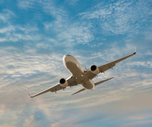 Image of Sarah Williams